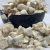 Baobab en pulpe/bouye/Pain de singe